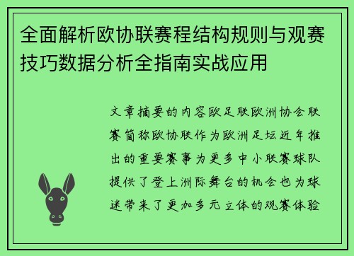 全面解析欧协联赛程结构规则与观赛技巧数据分析全指南实战应用